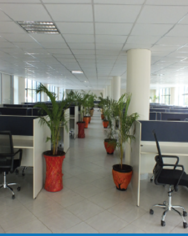 TECHNOBRAIN(K) LTD